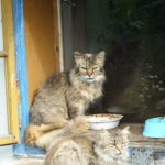 DSC01911